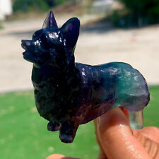 60g Rare natural colour Fluorite crystal hand-carved dog cure picture