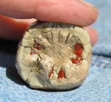 Dinosaur Fossil “Mini Ball Too” Jurassic Petrified Gem Jewelry Stone 30gr-1oz picture