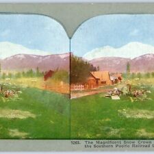 c1900s Mt. Shasta Southern Pacific SP Train Railway Cali. Photo Stereo Card V8 picture