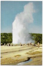 Postcard WY Yellowstone National Park Wyoming, ‘Old Faithful’ Geyser — E23 picture