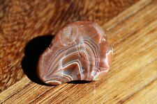 1.2oz Lake Superior Agate gemmy bander with classic colors picture