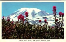 Ashford WA-Washington, Mt Rainier Natl Park, Vintage Postcard picture