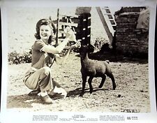 A SCENE FROM TAWNY PIPIT - MOVIE PRESS KIT 8X10 PHOTO 48/777 picture