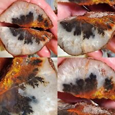 Pr Woodward Ranch Banded Plume Sagenite Agate Alpine Texas 168g Rough Lapidary  picture