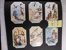 Liebig Trade Cards Protected Birds Gli Uccelli Protteti Complete Set 6 picture