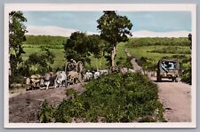 Paraguay Dirt Road Ox Cart Team Soldiers Army Truck Tinted RPPC Photo Postcard picture