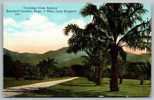 Greetings Jamaica Botanical Hope Kingston Mountains Palms Vintage UNP Postcard picture