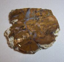 Natural Amethyst Sage-Rough/Slab/Cab/Wrap-2157 picture
