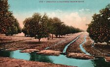 Vintage Postcard 1910's Irrigating A California Orange Grove E.W. H. Mitchell picture