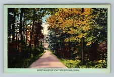 Stafford Springs CT-Connecticut, Scenic Path Greetings Vintage Souvenir Postcard picture