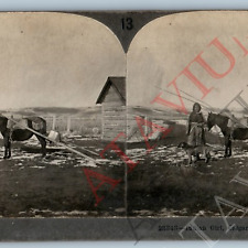 c1900s Calgary, Canada Native American Indian Girl Dog Real Photo Stereoview V45 picture