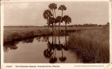 The Palmetto Family Took River FL RPPC Antique Postcard Underwood & Underwood picture
