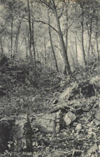Blue Hills,MA Wild Cat Notch Norfolk County Massachusetts Postcard Vintage picture