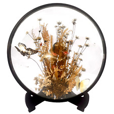 Butterfly Display by Royal Pacific- Floral Glass Dome W/ Stand Vtg picture
