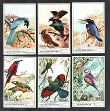 Tropical Birds Cards Set 1963 Liebig Parrot Kingfisher Paradise Stunning picture