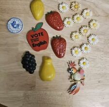 Vintage Plastic Refrigerator Magnets Lot Midcentury Fruit, Daisies, Corvette picture