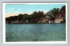 NY-New York, Cottages Along Cayuga Lake, Scenic View, Vintage Postcard picture