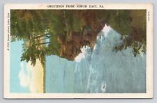 Greetings from North East Pa Linen Postcard No 5223 picture