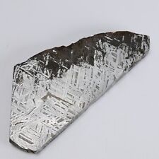 194g Muonionalusta meteorite slice R1949 picture