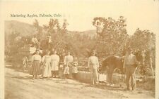 Postcard RPPC C-1910 Colorado Palisades farm agriculture occupation 23-12942 picture