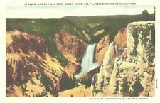 Grand Canyon & Lower Falls From Moran Point, Yellowstone National Park Postcard picture