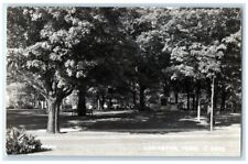 c1940's City Park Trees Bench View Ludington MI RPPC Photo Unposted Postcard picture