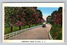 Hunter NY-New York, Scenic Country, Vintage Car Greetings Vintage c1935 Postcard picture