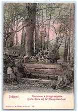 Budapest Hungary Postcard Monastery Ruins on St. Margarethen Island c1905 picture