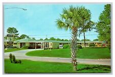 Gainesville FL Florida Gator Court Motel Street View Unposted Chrome Postcard picture