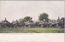 1910 ERA, A WOOL CLIP ARRIVING AT PIERRE, SOUTH DAKOTA FROM THE WEST picture