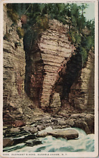 AUSABLE CHASM, NEW YORK ~ Elephant's Head ~ Cliff Rocks c.1910 Postcard picture