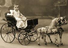 Antique Photo... Victorian Era Child Horse & Carriage Toy... Photo Reprint 5X7 picture