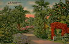 Postcard: A Winding Lane, Miami, Florida picture