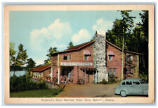 Sioux Narrows Ontario Canada Postcard Anderson's Sioux Narrows Hotel c1930's picture