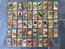 49 Lot POSTER CUTS from c. 1888 N4 Allen & Ginter Birds of America Advertising picture