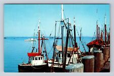 Cape Cod MA-Massachusetts, Cape Cod Fishing Boats at Dock, Vintage Postcard picture