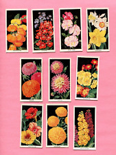 1936 CARRERAS LTD CIGARETTE FLOWERS AMATEUR GARDENING 10 DIFFERENT TOBACCO CARDS picture