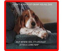 Funny Ass Dog Basset Hound Sitting Refrigerator / Magnet Gift Card Idea picture