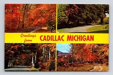 Greetings Cadillac Michigan Multi View Scenic Autumn Views Chrome Postcard picture