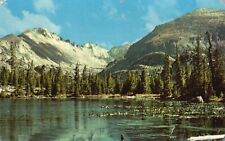 Postcard CO Rocky Mt Nat'l Park Long's Peak from Nymph Lake Vintage PC f7848 picture