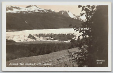 Vintage Postcard - RPPC - Along The Alaska Railroad - Brickley Photo - AK picture