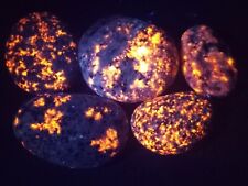  Yooperlite Set of 5 - BRIGHT Lake Superior stones with UV fluorescent Sodalite picture