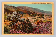 Cholla Cactus And Desert Flowers, Scenic View, Antique, Vintage Postcard picture