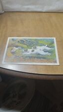 Vintage Dog Hunting So Near Yet So Far Away Postcard Unused picture