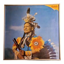 Rare Vintage Original Kodak Advertising Large Sign Native American Kodachrome picture