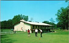Oscoda MI-Michigan, Au Sable River Golf Course, Vintage Postcard picture