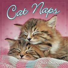 Sellers Publishing,  Cat Naps 2024 Mini Wall Calendar picture