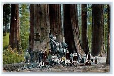 c1910 Giant Forest Big Trees People Sitting Tulare County California CA Postcard picture
