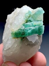 390 Carat Tourmaline Crystal On Quartz From Afghanistan picture