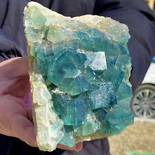 2.84LB NATURAL Green FLUORITE Quartz Crystal Cluster Mineral Specimen picture
